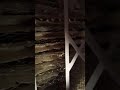 UV light damaged filter