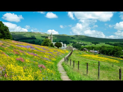 Beautiful Summer Walk in the Yorkshire Dales | Relaxing UK Countryside View