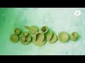Clay Mitti Ke Mini Tools Mini Khilone Chote Bartan Kican Set Toys Kitchen Trending Viral