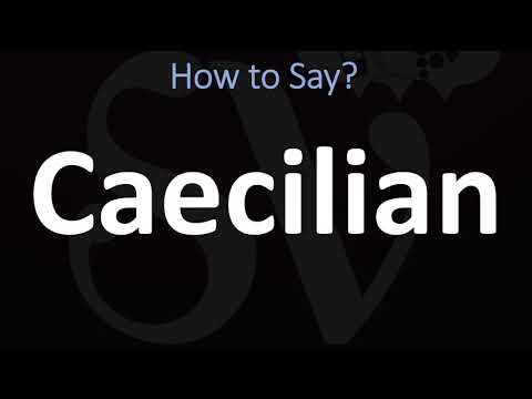 How to Pronounce Caecilian? (CORRECTLY)