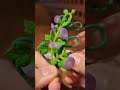 Miniverse Morning Glory | Miniature plant #miniverse #mini #miniature #unboxing #toys #blindbox #toy