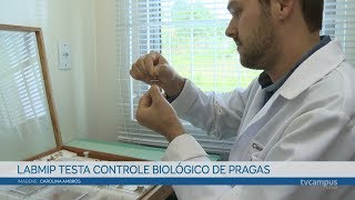 Miniatura do vídeo