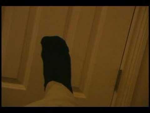 Blog about love and rockets 1