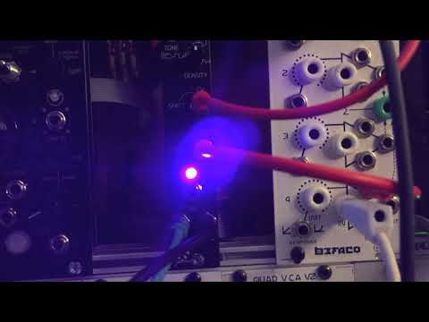 Shuby Panda Explorations