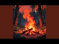 Burning Promises Again