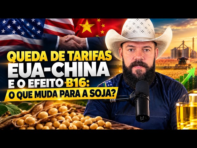 Queda de Tarifas EUA-China e o Efeito B16: O Que Muda para A Soja?