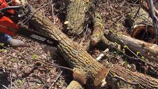 Video de Chipeadora Bear Cat Ch911Dh