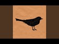 Paper Birds