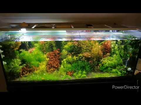 Pękło wzmocnienie akwarium