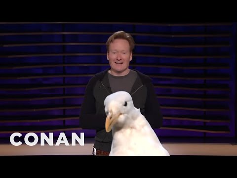 Scraps: The Seagull | CONAN on TBS