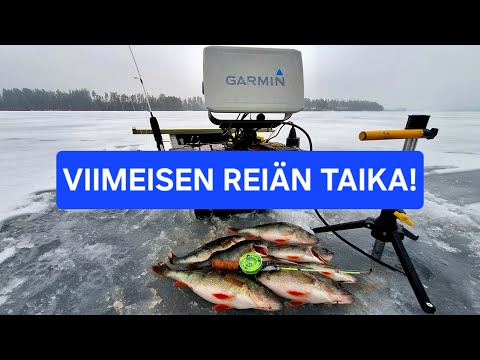 AHVENTA VIERAILLA VESILLÄ | JÄLLEEN #KALASSA52