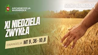 Rozważanie: XI Niedziela Zwykła, rok A
