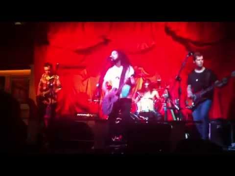 Monkey Fighters - Foo Fighters Tribute - Best Of You (cover)