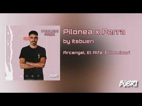 Pilonea x Perra by Itsbueri - Arcángel, El Alfa, Elilluminari