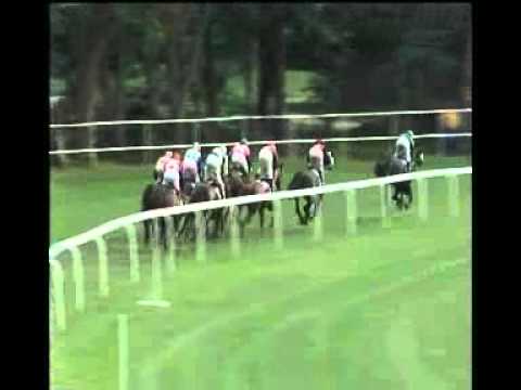 Alfkona - 29. Cena Ministerstva pôdohospodárstva a rozvoja vidieka SR /Gd. 3, 1 200 m/