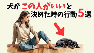 犬が本当に好きな人にだけ見せる行動5選｜あなたは選ばれてる？