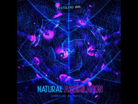 Baodub - Unity (Dubolik Remix) - Pistolero Rec