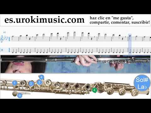 Tutorial de Flauta Miley Cyrus - Malibu Clases Notas Parte#1 um-i927
