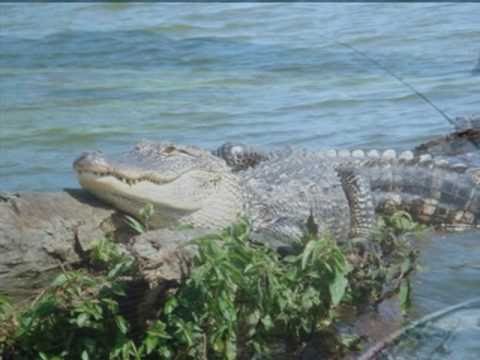 My Choice 715 - Loretta-Conway:  Louisiana Woman, Mississippi Man