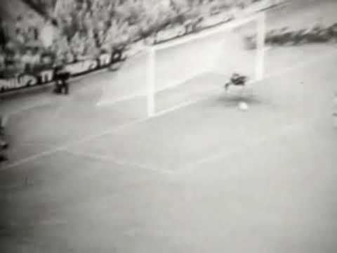 Garrincha disallowed goal vs France - World Cup 1958