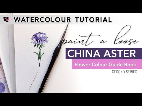 How to Paint a China Aster in Watercolour - Hello Clarice Tutorials