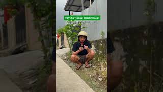 Download lagu pawang hujan di Kalimantan mp3