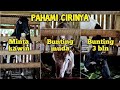 Pahami Hal Penting Ini Pada Kambing Betina Kita