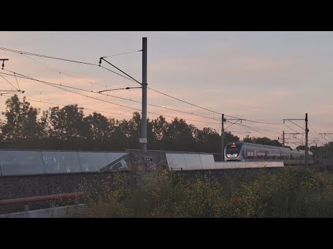 Sprinter (SLT) to Den Haag cs near Almere Parkwijk