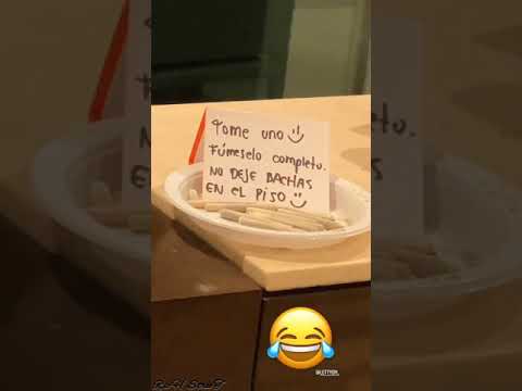 Mc Davo Grabando Con Lefty SM En Mazatlán (Previo2021)