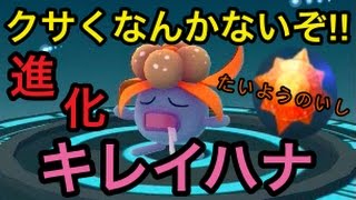 ナゾノクサ ポケットモンスター エースバーン コロトック ゴビット