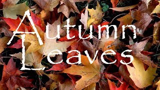 Autumn Leaves ("Les feuilles mortes")