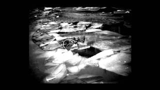 Trembling Blue Stars - A Field At Dusk