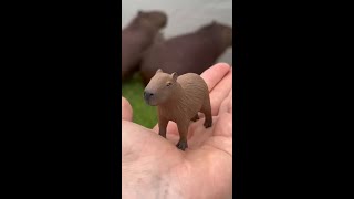 Download lagu a mini capybara đĨš @joaodoce #capybara #miniatures #diy #clay #art mp3 Download lagu a mini capybara đĨš @joaodoce #capybara #miniatures #diy #clay #art mp3