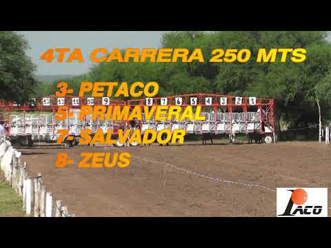 PETACO HIPODROMO PANGARE 20 02 2022
