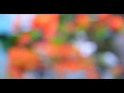 Jose Amnesia Feat. Anthya - Don't Breathe (Original Mix)