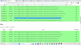 java.lang.IllegalStateException: The driver executable does not exist