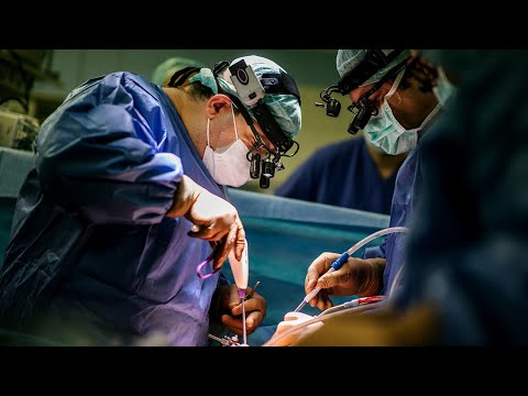 Wie funktioniert eine minimal-invasive Herzklappen-OP an der Mitralklappe?