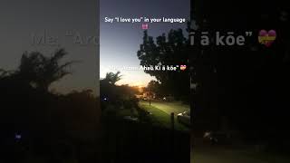 All languages are beautiful 💖🌸 #Māori #multicultural