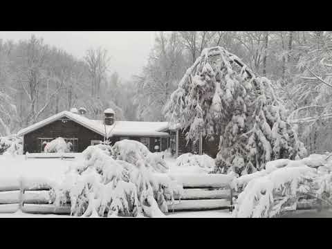 12-1-2020 Chardon - Mentor, Ohio - Stuck Vehicles - Plowing Lots - Trees Bending