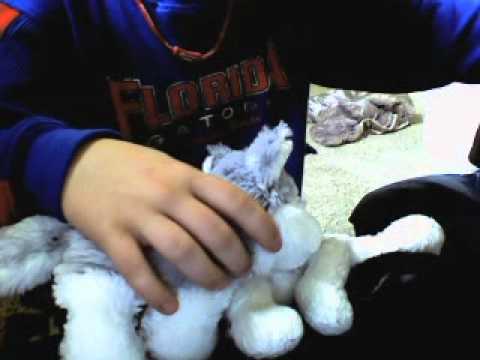 The990087's webcam video January 17, 2011, 01:29 PM