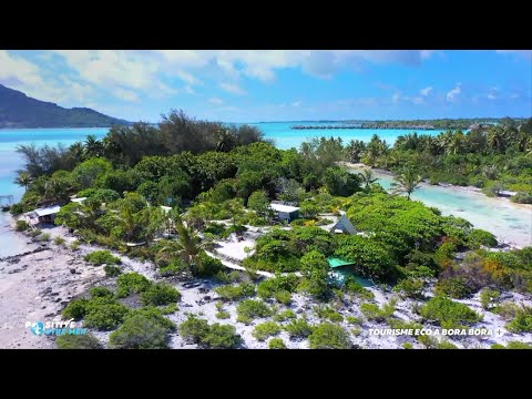 VIDÉO. Positive Outre-mer : En Polynésie, des « camping écolos » sur la perle du Pacifique