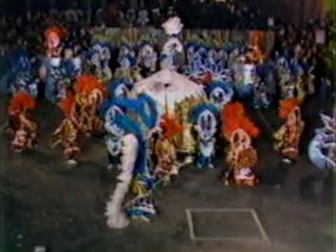 1983 Shooting Stars Fancy Brigade "Exotic Safari" - 8th Place