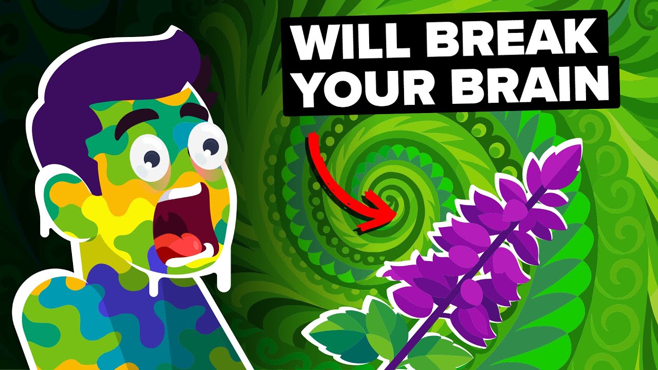 The Drug That Makes You Live an ENTIRE Lifetime in 5 Minutes