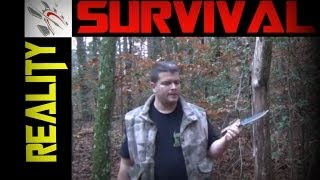 How To Cut Down A Tree With Just A Knife!