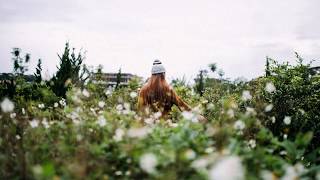 Menual - Floverdance