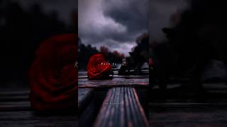 Download lagu Sun raha hai na tu 🥺🥀 Female version | Aesthetic edit | Lyrical video | #aesthetic #edit #lyrics mp3