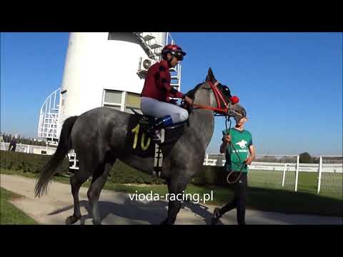 Gon. IV (N. Bandoli) - 14.10.2018 - Free Spirit (TM Fred Texas - Furaat)