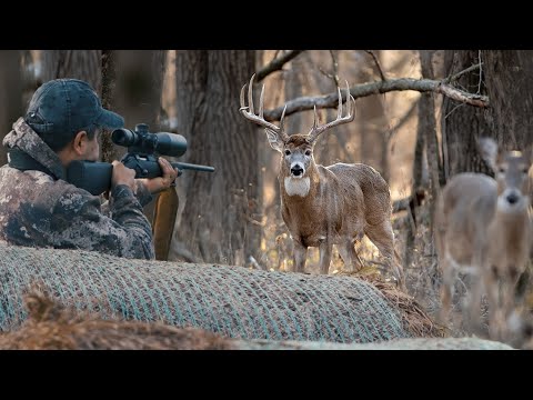 Hunting Old Deer in the Corrida