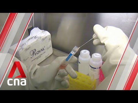 新的COVID-19測試包用於篩查在新加坡檢查站收集的拭子樣本。 (New COVID-19 test kits used to screen swab samples collected at Singapore checkpoints)