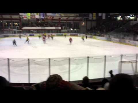 Eispiraten Crimmitschau gg. Lausitzer Füchse am 15.1.2012